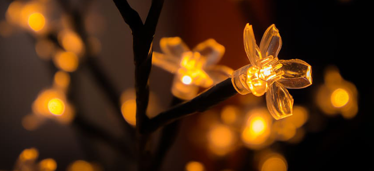 ilumina tu navidad